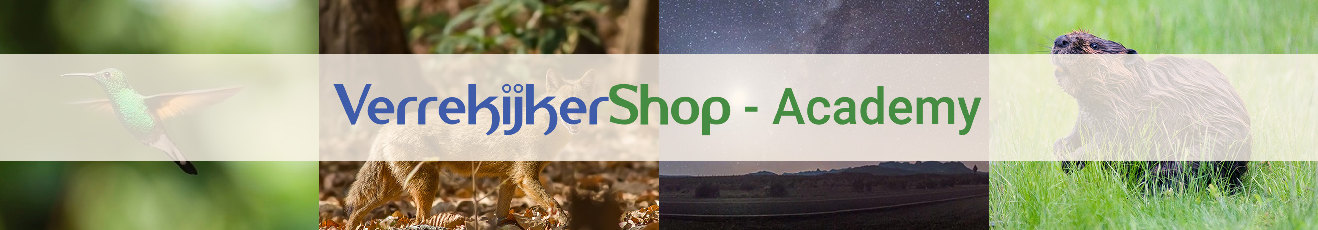 VerrekijkerShop Academy