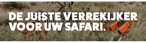 Wat mag u niet vergeten tijdens het plannen van uw droom safari? 